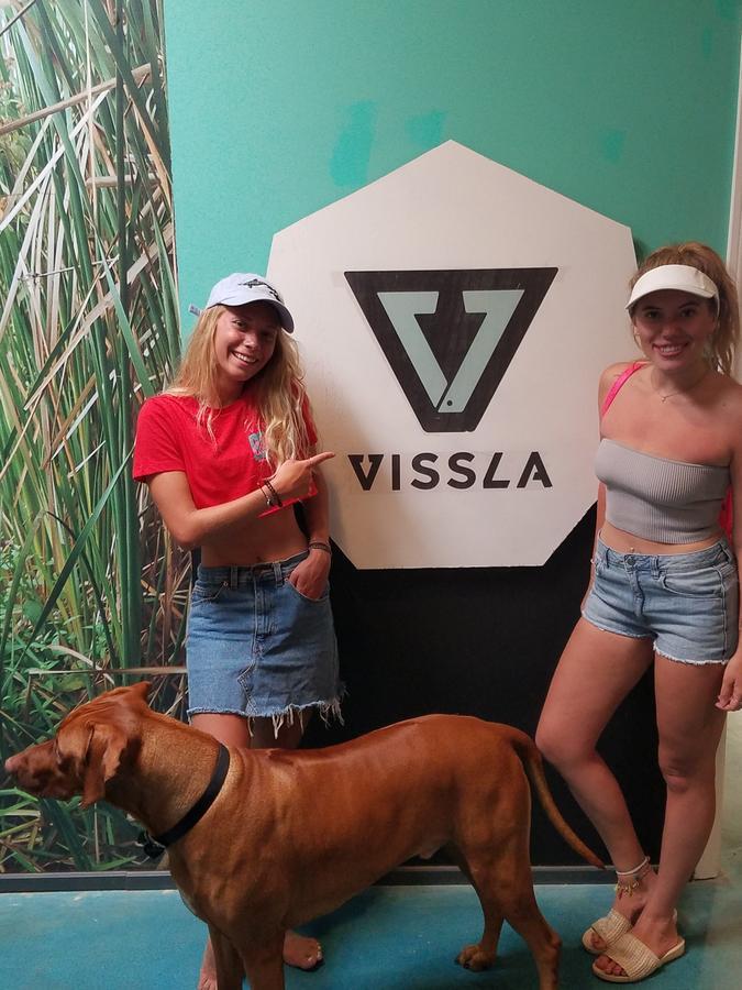 House Of Trestles Hostel San Clemente Luaran gambar